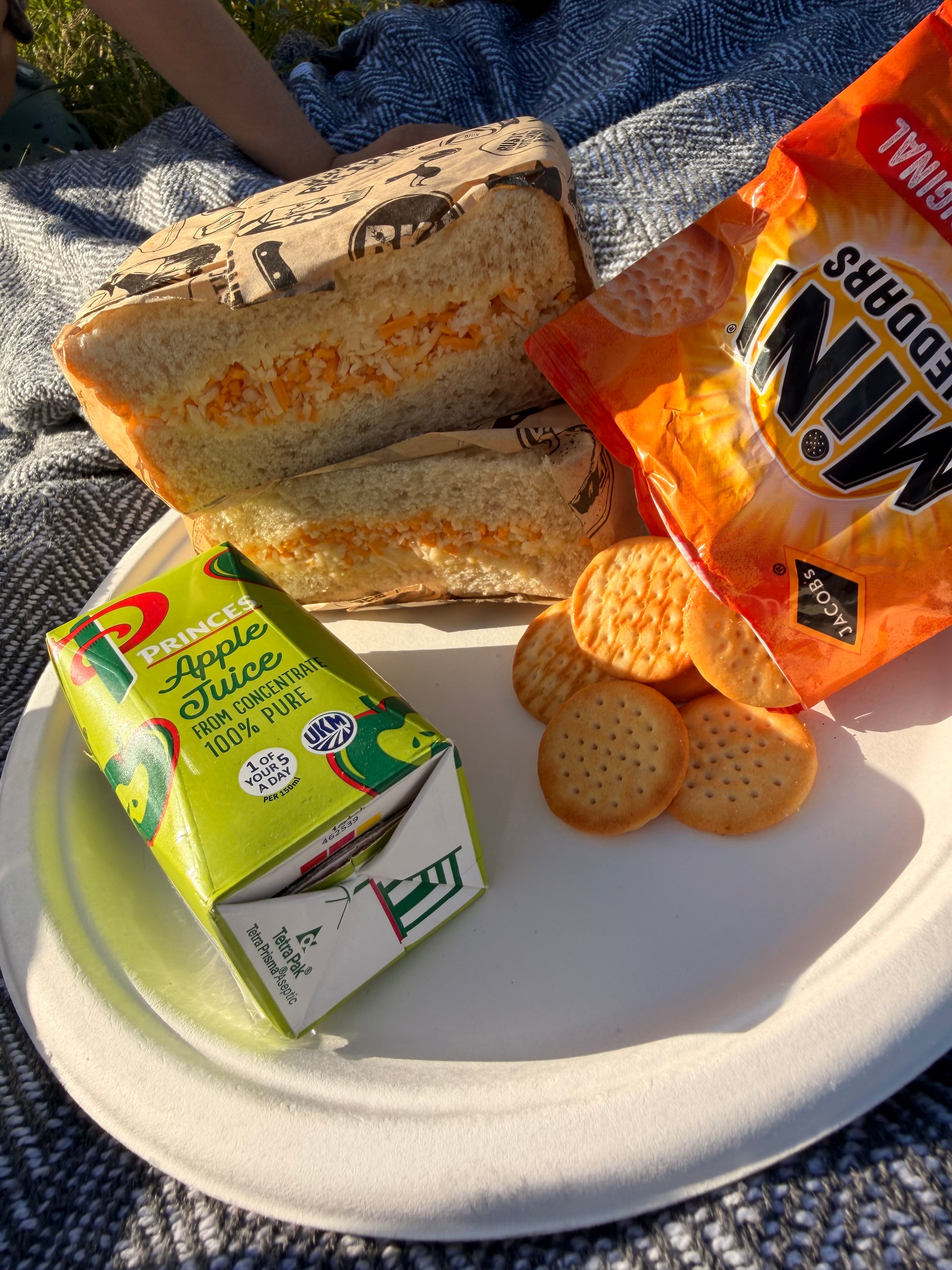 RKD Picnic in the Park