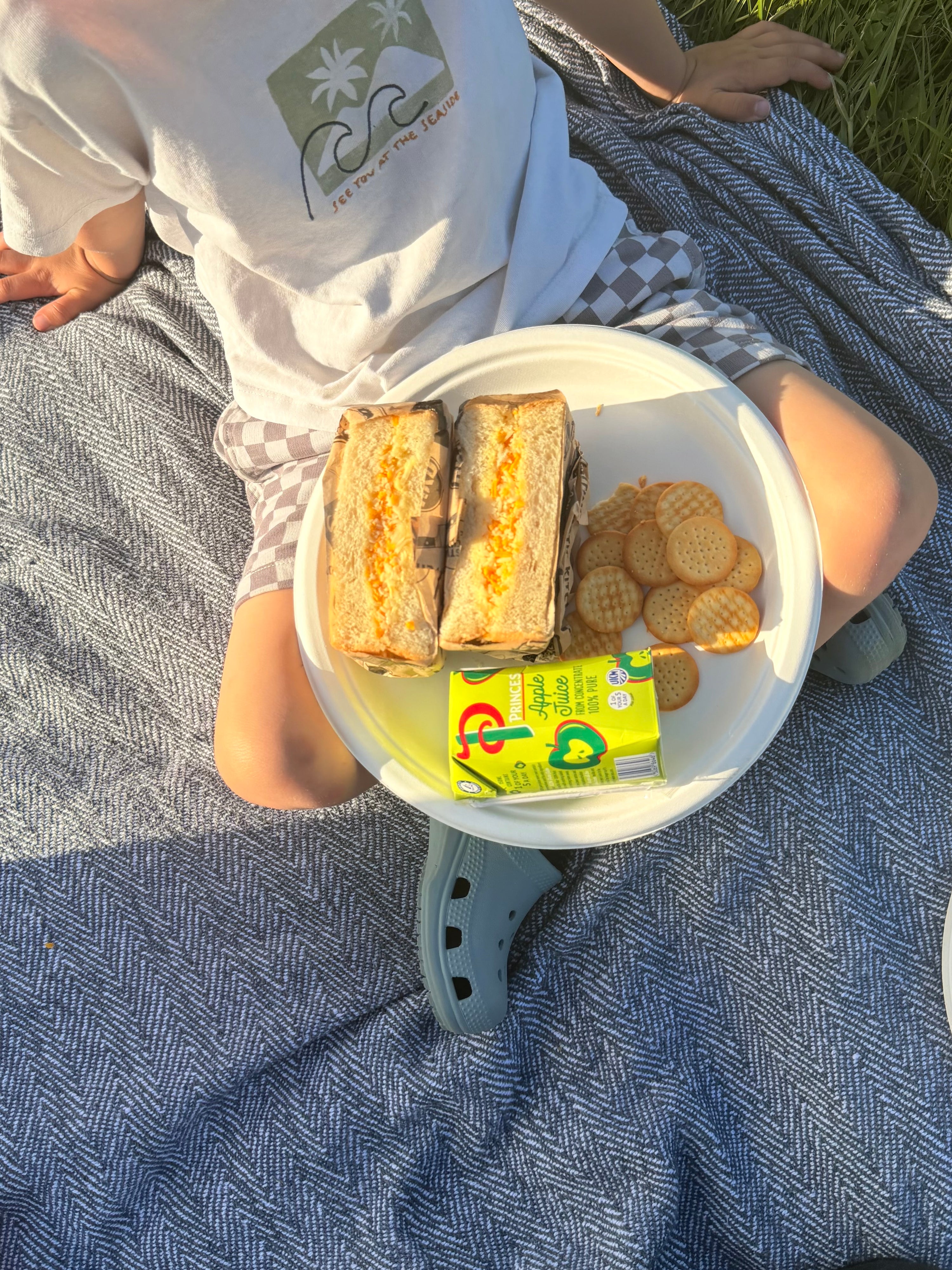 RKD Picnic in the Park