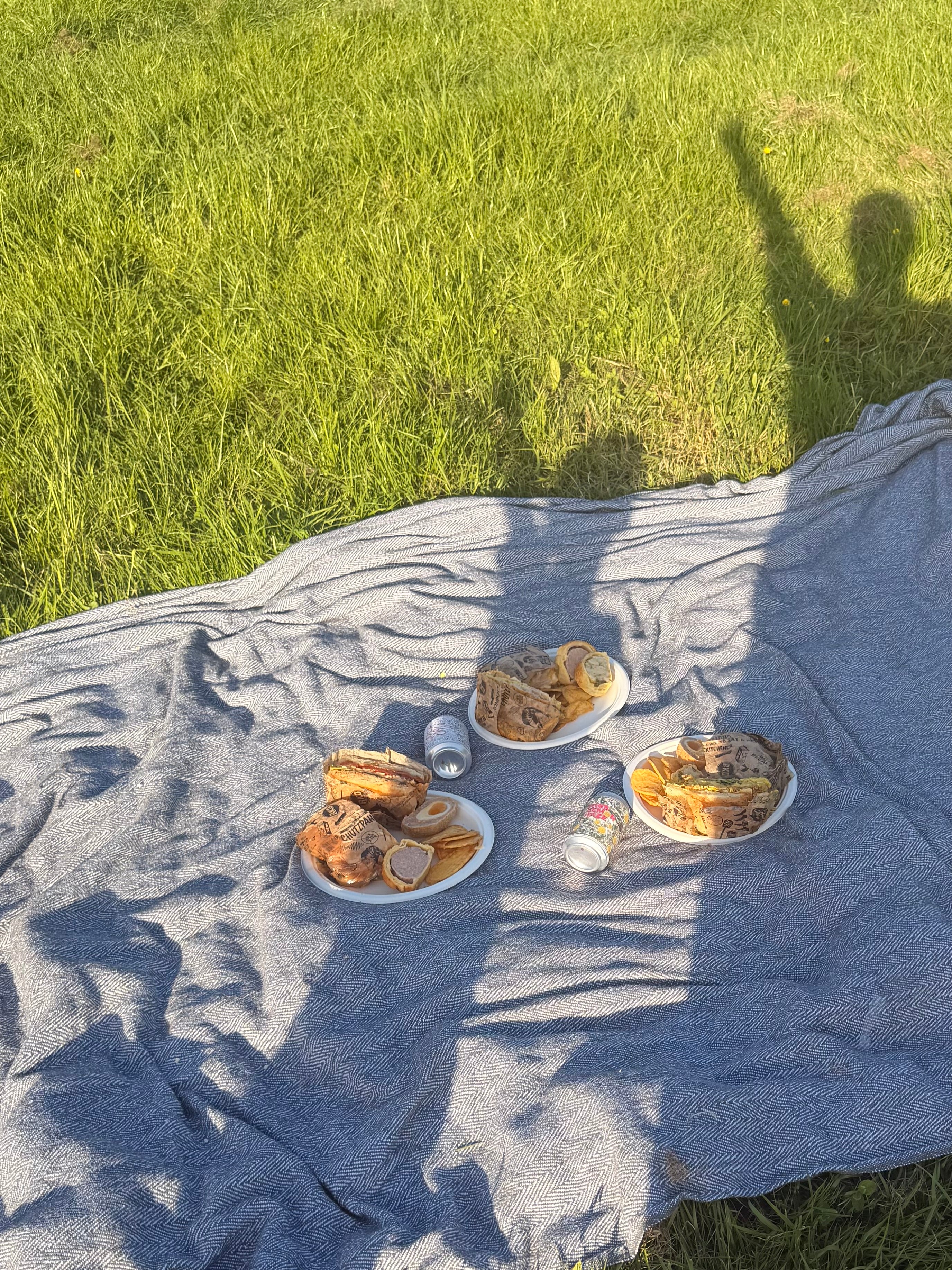 RKD Picnic in the Park